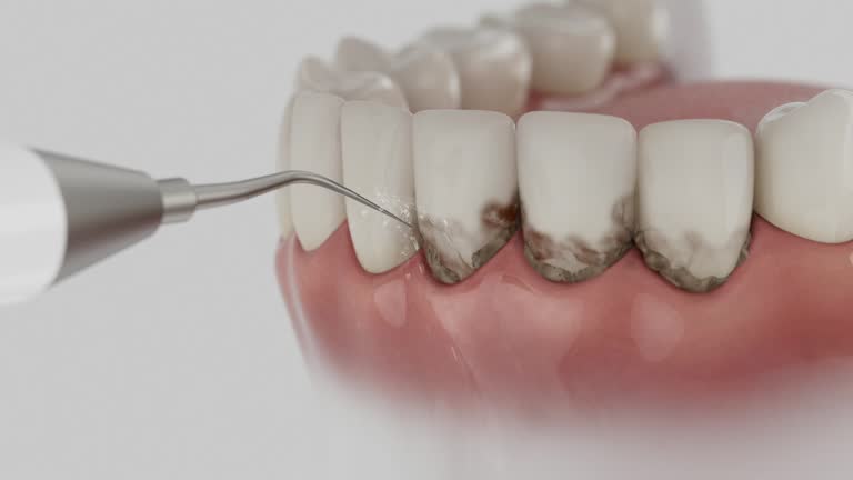 Reliable Dental contractor in Burton, SC by Dentist Open Now