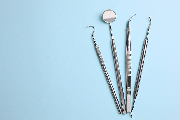 Top rated local Dental specialists in Burton, SC